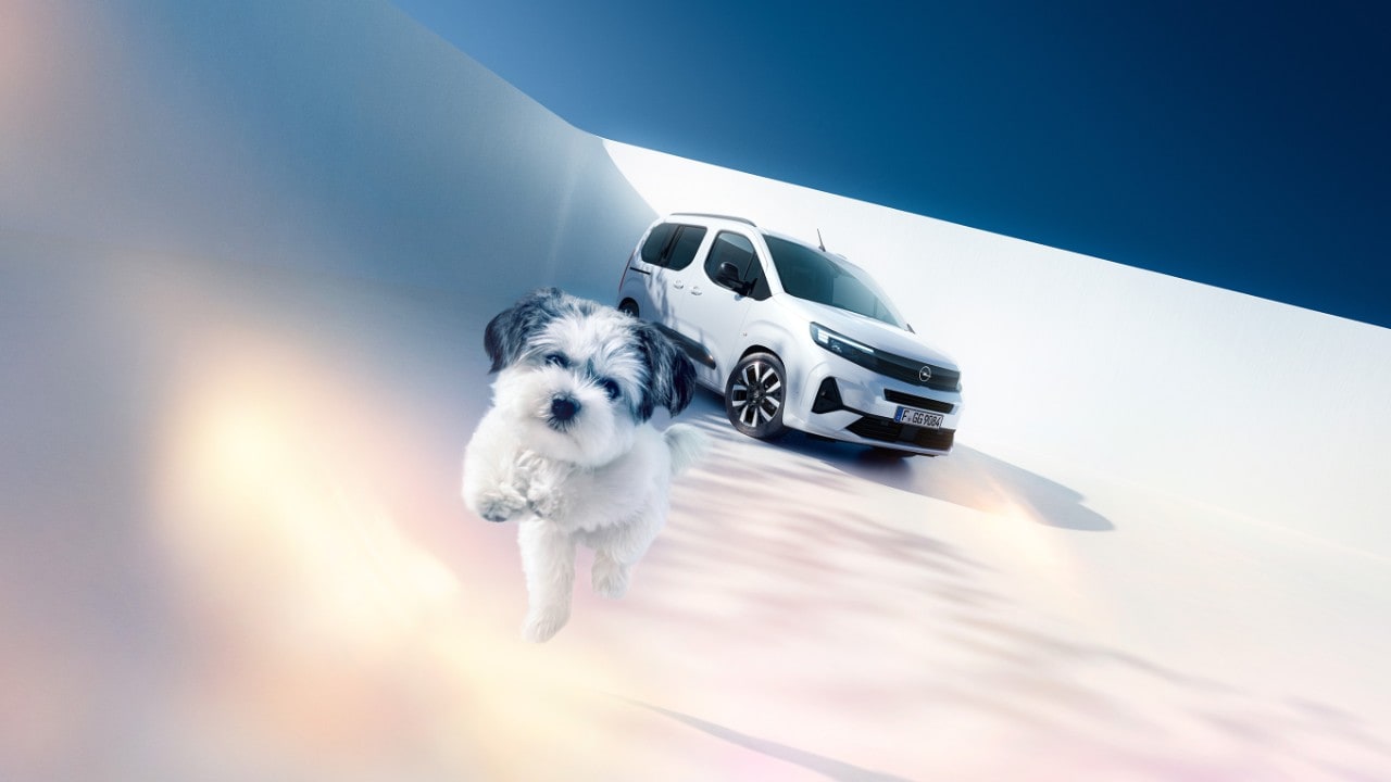 Pogled na bel Opel Combo in psa s sprednje strani